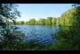 DSC 0041