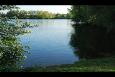 DSC 0062