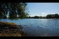 DSC 0202